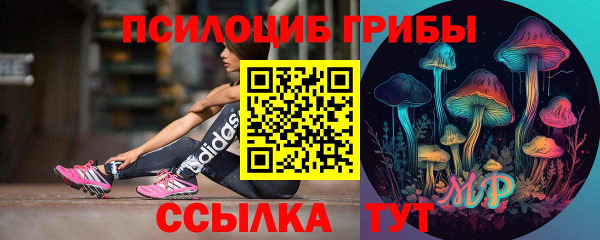 Губкинский  Галлюциногенные грибы Cubensis  Галлюциногенные грибы мухоморы  Вход с VPN 
